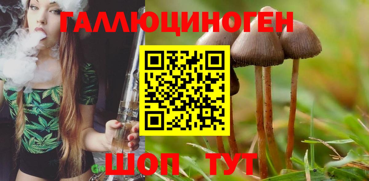 Галлюциногенные грибы прущие грибы  Вход с VPN  Псилоцибиновые грибы прущие грибы  Великий Устюг 